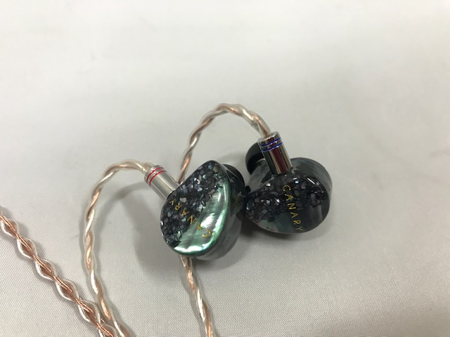 AAW Canary In-Ear Monitor Review