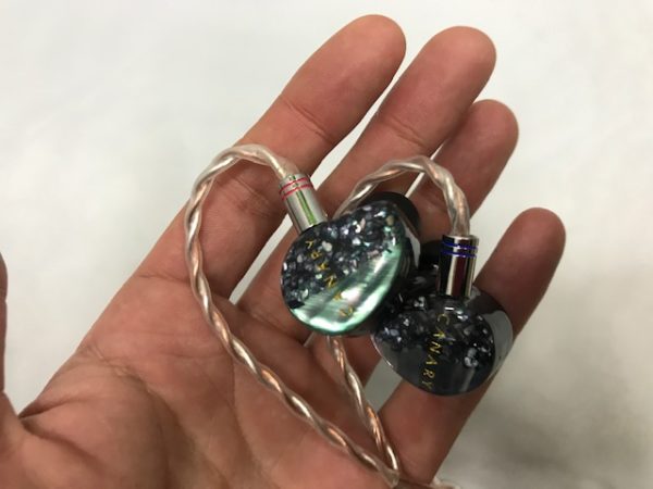 AAW Canary In-Ear Monitor Review