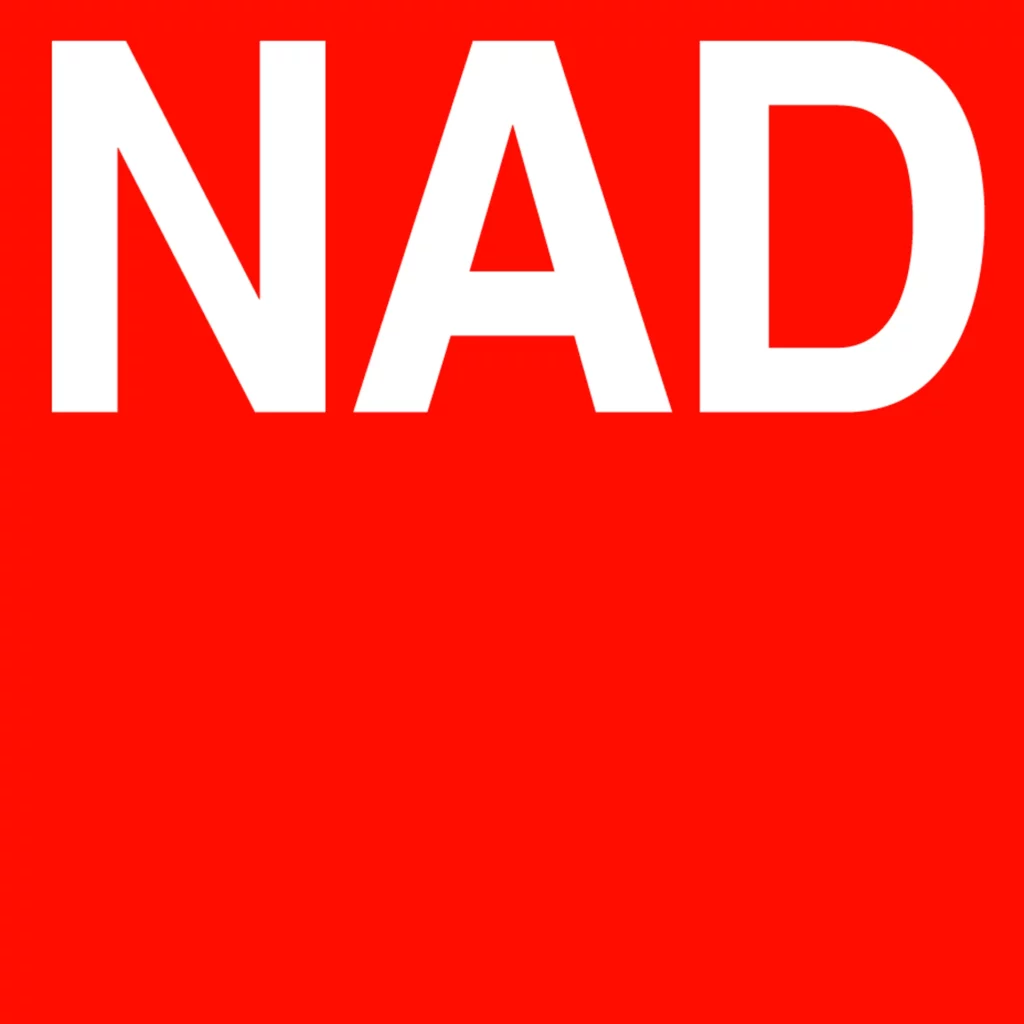NAD Electronics Announces the C 389 HybridDigital DAC Amplifier